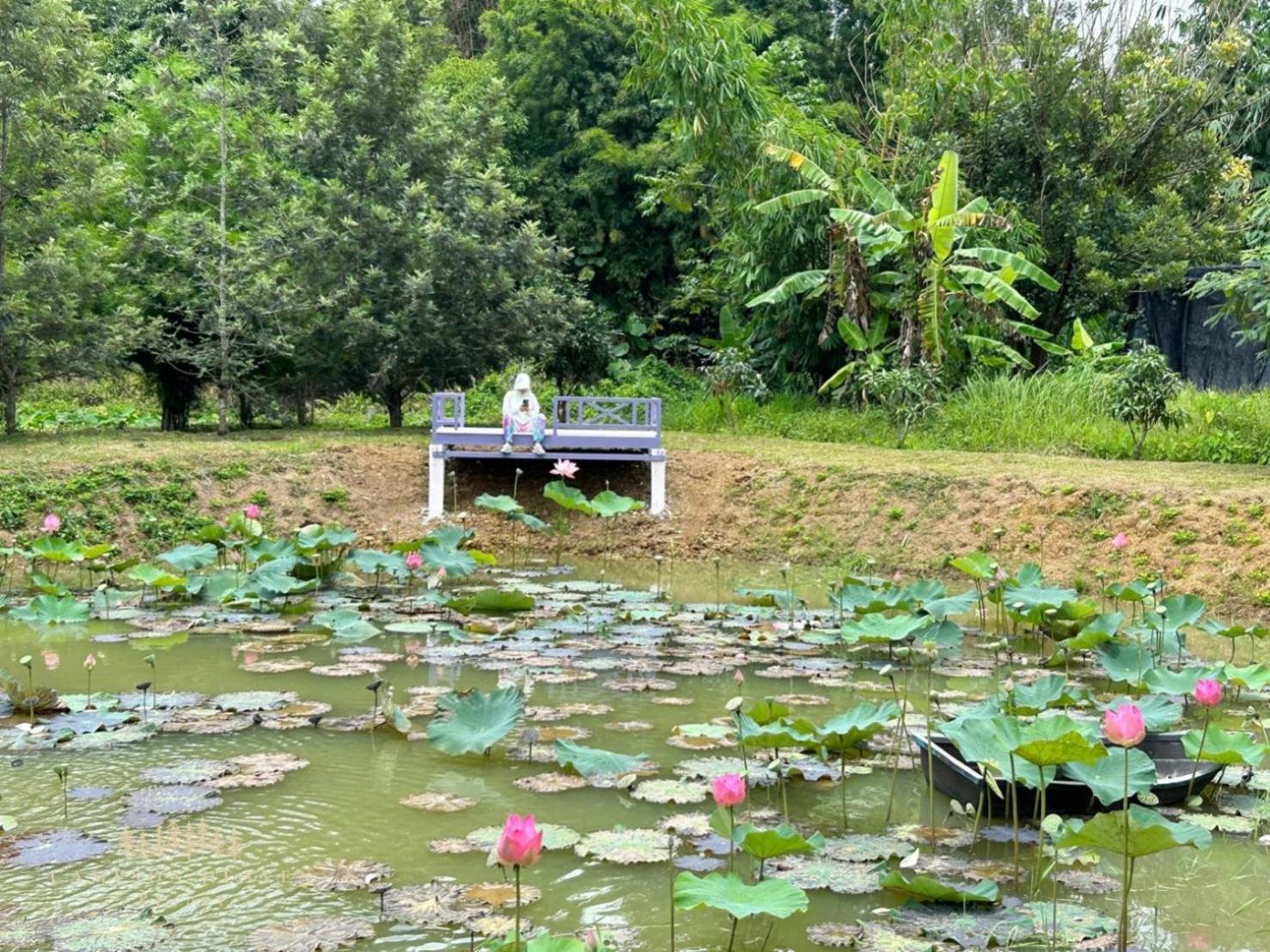 Campson Heaven Resort Khao Kho Eksteriør bilde